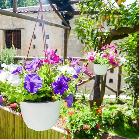Holiday House Ruocco Майори Екстериор снимка