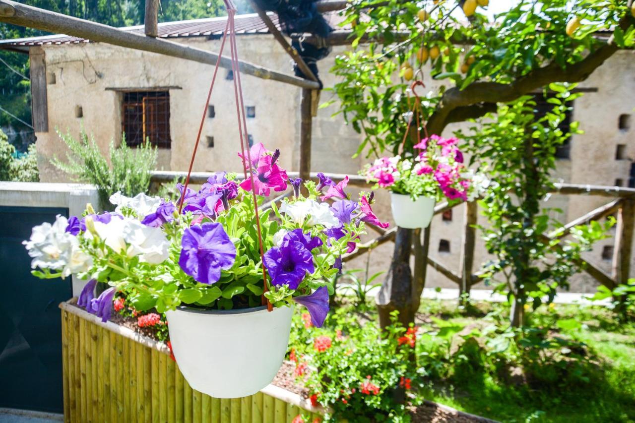 Holiday House Ruocco Майори Екстериор снимка